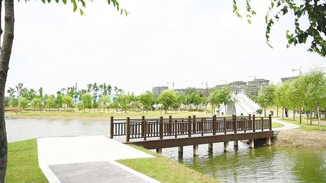 桃花堤濕地公園芳容初現(xiàn)