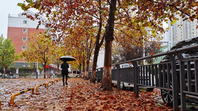 雨中周口，別有一番韻味